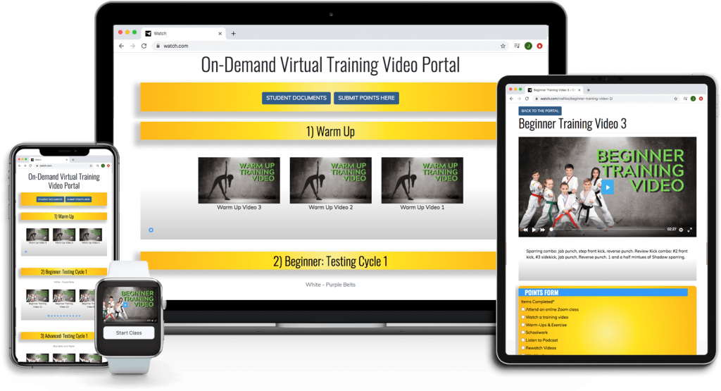 Virtual Martial Art Training
